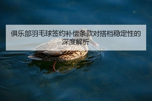 俱乐部羽毛球签约补偿条款对搭档稳定性的深度解析